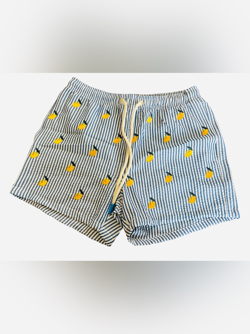 Warren Webber Beachwear Swim Trunks Men’s S Lemon Embroidered Striped Shorts